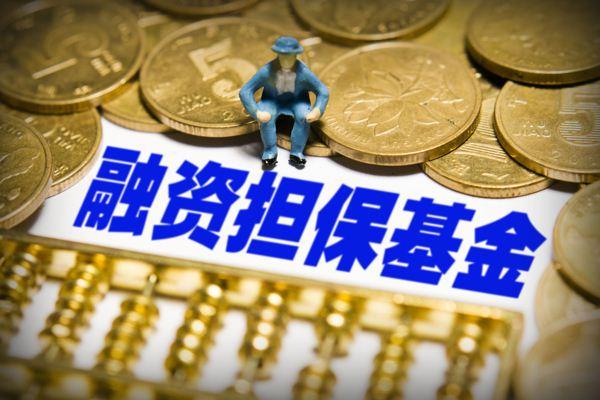 上海S基金联盟2025年度大会举办