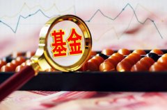 湖北省设立100亿元人形机