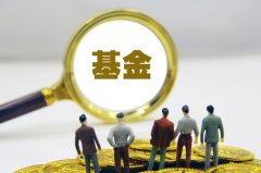 弘景光电：接受国金基金