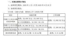 瑞达期货上半年业绩预告