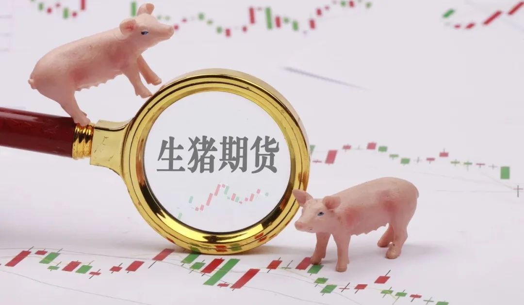 中国铂期货上市首日涨幅亮眼