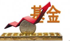 中国社会福利基金会公布